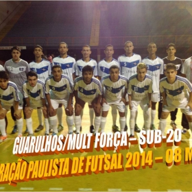 LIGA PAULISTA DE FUTSAL 2014 - GUARULHOS/MULT FORÇA  -