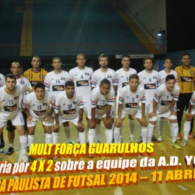 LIGA PAULISTA DE FUTSAL 2014 - GUARULHOS/MULT FORÇA  -