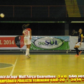 LIGA PAULISTA DE FUTSAL 2014 - GUARULHOS/MULT FORÇA  -