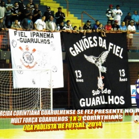 LIGA PAULISTA DE FUTSAL 2014 - GUARULHOS/MULT FORÇA  -