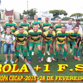 15ª COPA CECAP 2015 - NOVE DE JULHO É O CAMPEÃO DA COPA CECAP 2015 - 