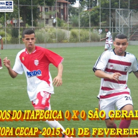 15ª COPA CECAP 2015 - NOVE DE JULHO É O CAMPEÃO DA COPA CECAP 2015 - 