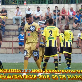 15ª COPA CECAP 2015 - NOVE DE JULHO É O CAMPEÃO DA COPA CECAP 2015 - 