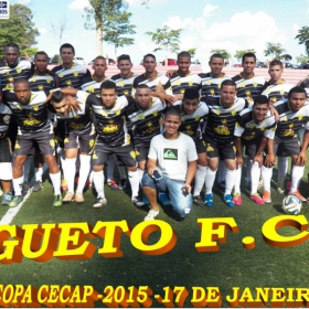 15ª COPA CECAP 2015 - NOVE DE JULHO É O CAMPEÃO DA COPA CECAP 2015 - 