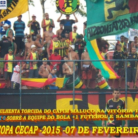 15ª COPA CECAP 2015 - NOVE DE JULHO É O CAMPEÃO DA COPA CECAP 2015 - 