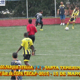 15ª COPA CECAP 2015 - NOVE DE JULHO É O CAMPEÃO DA COPA CECAP 2015 - 