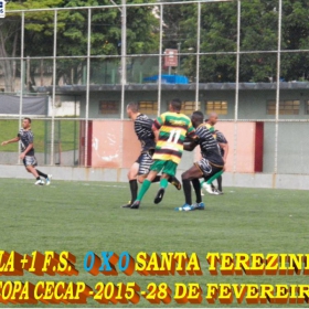 15ª COPA CECAP 2015 - NOVE DE JULHO É O CAMPEÃO DA COPA CECAP 2015 - 