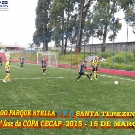 15ª COPA CECAP 2015 - NOVE DE JULHO É O CAMPEÃO DA COPA CECAP 2015 - 