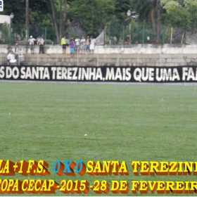 15ª COPA CECAP 2015 - NOVE DE JULHO É O CAMPEÃO DA COPA CECAP 2015 - 