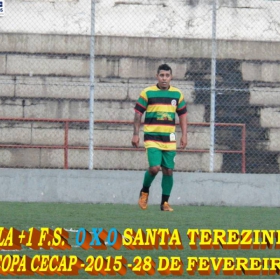 15ª COPA CECAP 2015 - NOVE DE JULHO É O CAMPEÃO DA COPA CECAP 2015 - 