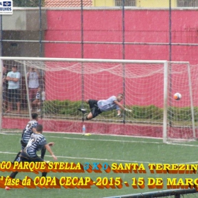 15ª COPA CECAP 2015 - NOVE DE JULHO É O CAMPEÃO DA COPA CECAP 2015 - 