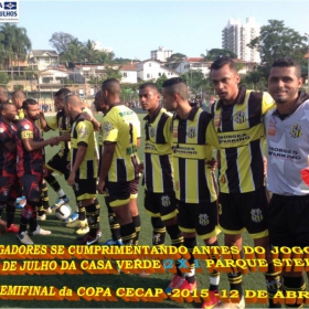 15ª COPA CECAP 2015 - NOVE DE JULHO É O CAMPEÃO DA COPA CECAP 2015 - 