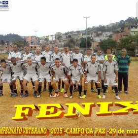 CAMPEONATO DE VETERANOS 2015 - GINGA BRASIL É O GRANDE CAMPEÃO