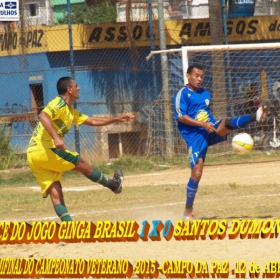 CAMPEONATO DE VETERANOS 2015 - GINGA BRASIL É O GRANDE CAMPEÃO
