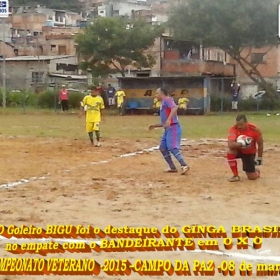 CAMPEONATO DE VETERANOS 2015 - GINGA BRASIL É O GRANDE CAMPEÃO