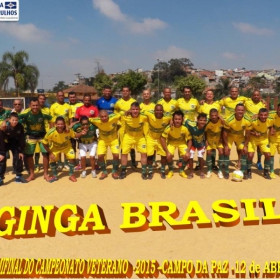 CAMPEONATO DE VETERANOS 2015 - GINGA BRASIL É O GRANDE CAMPEÃO