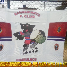 CAMPEONATO DE VETERANOS 2015 - GINGA BRASIL É O GRANDE CAMPEÃO
