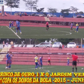 2ª COPA OS DONOS DA BOLA 2015 -  VASCO VILA R EAL - BI-CAMPEÃO 