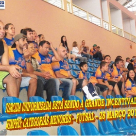 WIMPRO - MENORES - CAMPEÃO SUB-12  METROPOLITANO A2 2015