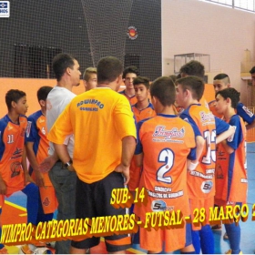 WIMPRO - MENORES - CAMPEÃO SUB-12  METROPOLITANO A2 2015