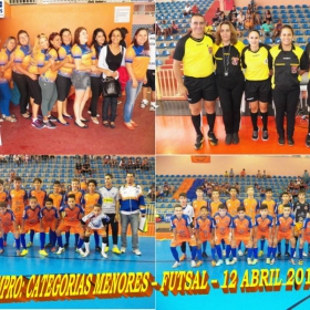 WIMPRO - MENORES - CAMPEÃO SUB-12  METROPOLITANO A2 2015