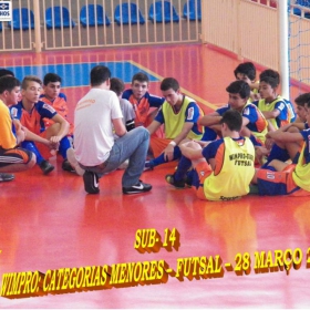 WIMPRO - MENORES - CAMPEÃO SUB-12  METROPOLITANO A2 2015