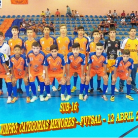 WIMPRO - MENORES - CAMPEÃO SUB-12  METROPOLITANO A2 2015