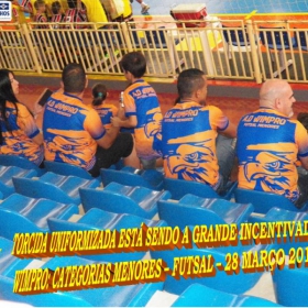WIMPRO - MENORES - CAMPEÃO SUB-12  METROPOLITANO A2 2015