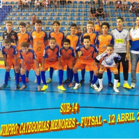 WIMPRO - MENORES - CAMPEÃO SUB-12  METROPOLITANO A2 2015