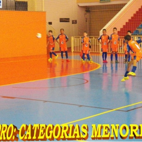 WIMPRO - MENORES - CAMPEÃO SUB-12  METROPOLITANO A2 2015