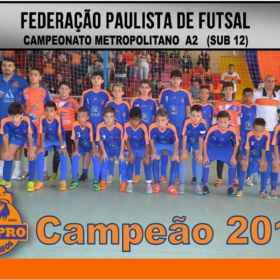 WIMPRO - MENORES - CAMPEÃO SUB-12  METROPOLITANO A2 2015
