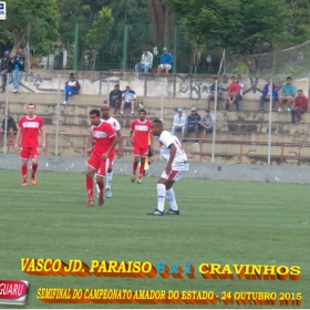 CAMPEONATO AMADOR DO ESTADO 2015-  
