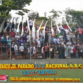 CAMPEONATO AMADOR DO ESTADO 2015-  