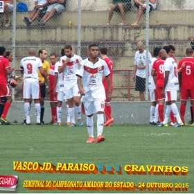 CAMPEONATO AMADOR DO ESTADO 2015-  
