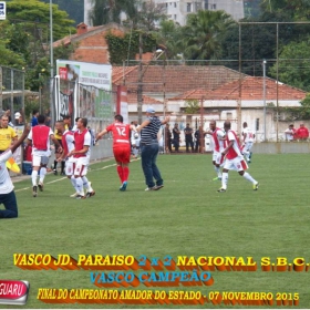 CAMPEONATO AMADOR DO ESTADO 2015-  