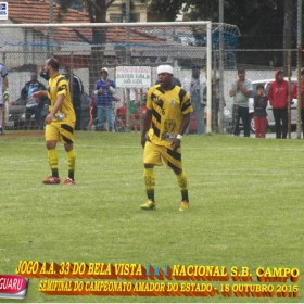 CAMPEONATO AMADOR DO ESTADO 2015-  