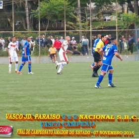CAMPEONATO AMADOR DO ESTADO 2015-  