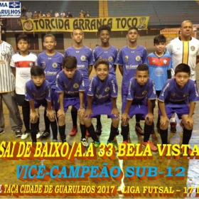 TAÇA CIDADE DE GUARULHOS 2017 - LIGA DE FUTSAL 