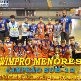 TAÇA CIDADE DE GUARULHOS 2017 - LIGA DE FUTSAL 