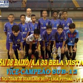 TAÇA CIDADE DE GUARULHOS 2017 - LIGA DE FUTSAL 