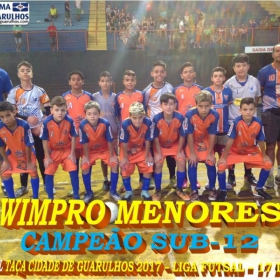 TAÇA CIDADE DE GUARULHOS 2017 - LIGA DE FUTSAL 
