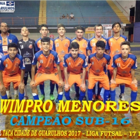 TAÇA CIDADE DE GUARULHOS 2017 - LIGA DE FUTSAL 