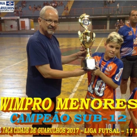 TAÇA CIDADE DE GUARULHOS 2017 - LIGA DE FUTSAL 