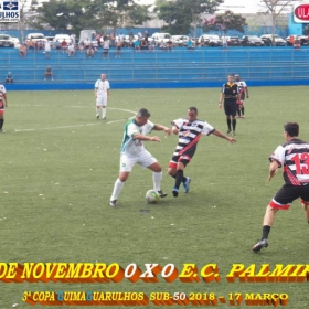 3ª COPA GUIMAGUARULHOS 40 E 50 ANOS - 2018 - SINDICATO E CAPIM MALUCO OS GRANDES CAMPEÕES 