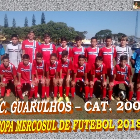 COPA MERCOSUL 2018