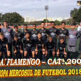 COPA MERCOSUL 2018