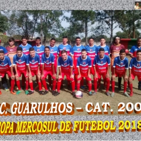 COPA MERCOSUL 2018
