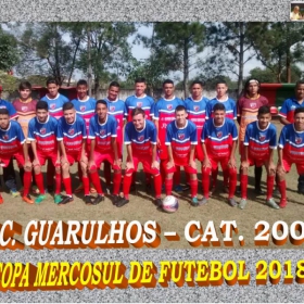 COPA MERCOSUL 2018
