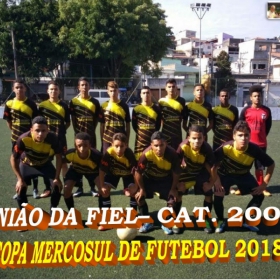 COPA MERCOSUL 2018