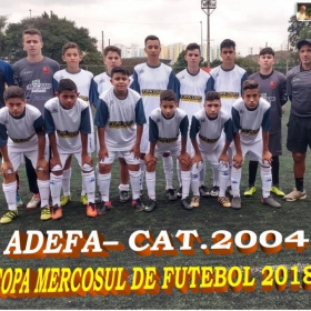 COPA MERCOSUL 2018
